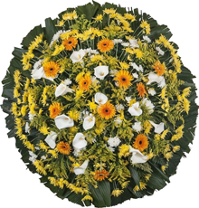 Coroa de flores  Salvador F