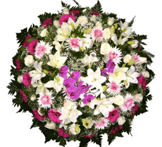 Coroa de flores  Salvador N 